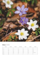 März 2026 März 2026